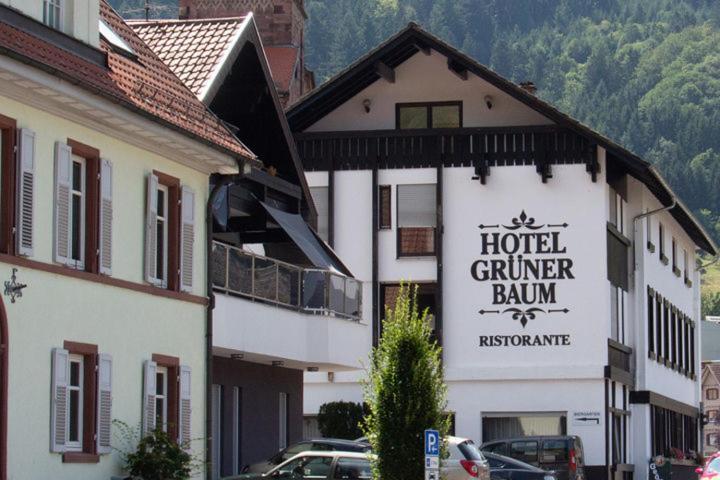 Hotel Gruener Baum - Hotel Im Murgtal, Schwarzwald Weisenbach Dış mekan fotoğraf