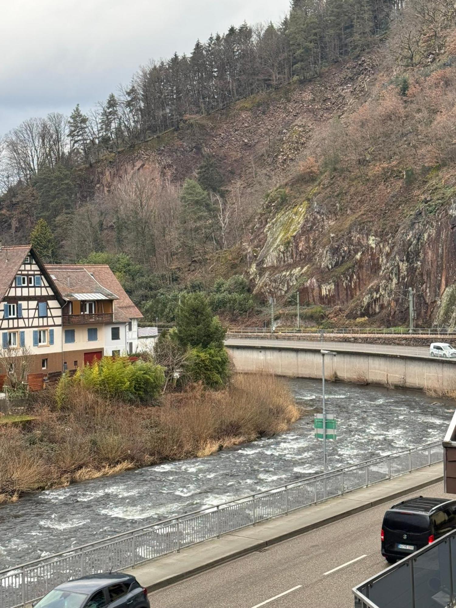 Hotel Gruener Baum - Hotel Im Murgtal, Schwarzwald Weisenbach Dış mekan fotoğraf